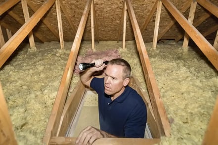 What Is a Home Inspection — and What Is It Actually For?